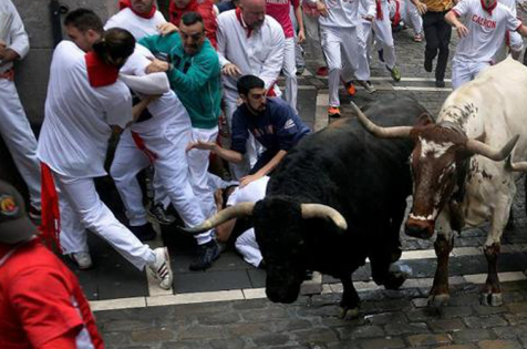 Lễ hội bò đuổi ở Tây Ban Nha