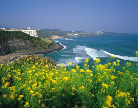 Đảo Jeju, Hàn Quốc